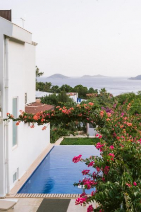 Eco Villa LALALAND